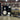 PDP Drum cases
